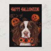 Engels Springer Spaniel Briefkaart (Voorkant)