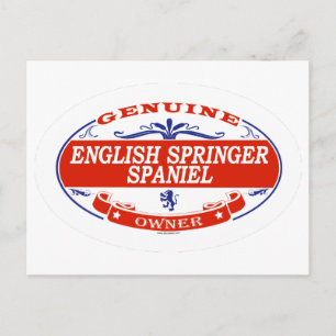 Engels Springer Spaniel  Briefkaart