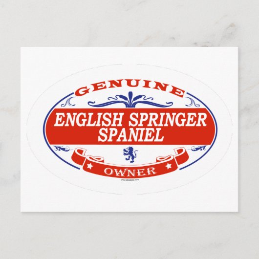 Engels Springer Spaniel  Briefkaart (Voorkant)