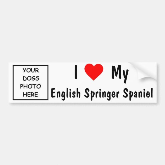 Engels Springer Spaniel Bumpersticker (Voorkant)