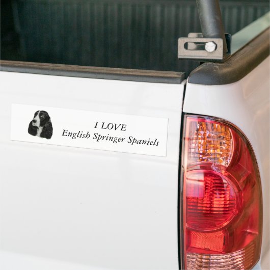 Engels Springer Spaniel Bumpersticker (Op Truck)