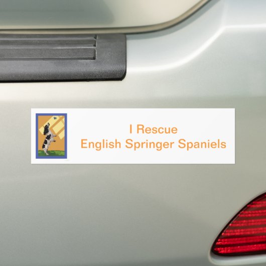 Engels Springer Spaniel Bumpersticker (Op auto)