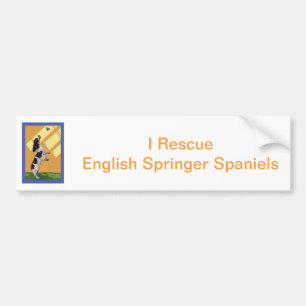 Engels Springer Spaniel Bumpersticker