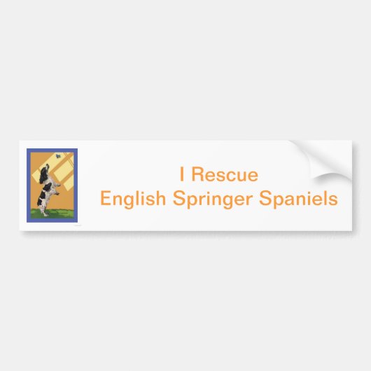 Engels Springer Spaniel Bumpersticker (Voorkant)