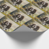 Engels Springer Spaniel Cadeaupapier (Hoek)