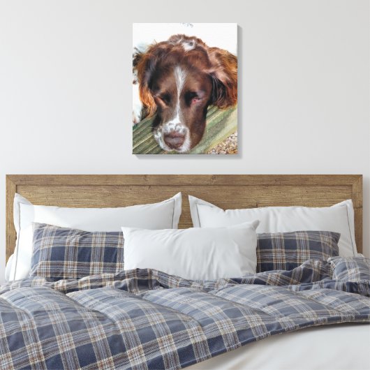 ENGELS SPRINGER SPANIEL CANVAS AFDRUK (Insitu (Slaapkamer))