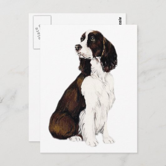 Engels Springer Spaniel Dog Art Briefkaart (Voorkant / Achterkant)