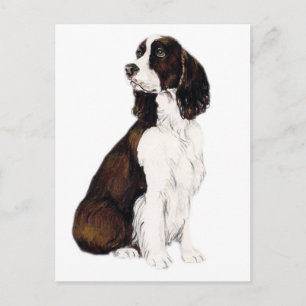 Engels Springer Spaniel Dog Art Briefkaart