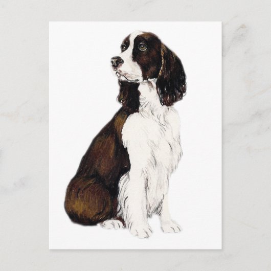 Engels Springer Spaniel Dog Art Briefkaart (Voorkant)