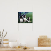 Engels Springer Spaniel Dog Poster Print (Keuken)