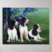 Engels Springer Spaniel Dog Poster Print (Voorkant)