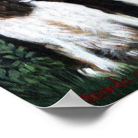 Engels Springer Spaniel Dog Poster Print (Hoek)