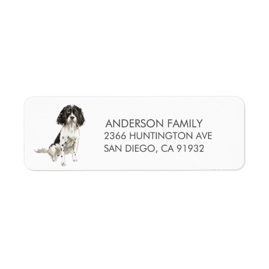 Engels Springer Spaniel Dog Return Address Label (Voorkant)