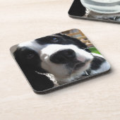 Engels Springer Spaniel Drankjes Onderzetter (Linkerzijde)
