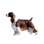 Engels Springer Spaniel Fotobeeldje Ornament<br><div class="desc">Engels Springer Spaniel</div>