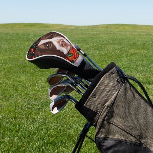 Engels Springer Spaniel Golfheadcover (Insitu)
