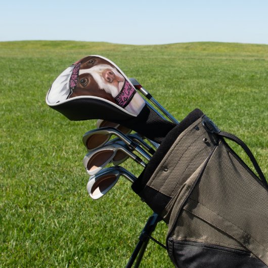 Engels Springer Spaniel Golfheadcover (Insitu)