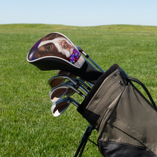 Engels Springer Spaniel Golfheadcover (Insitu)