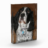 Engels Springer Spaniel Hond Huisdier Portret Fotoblokken (Links)