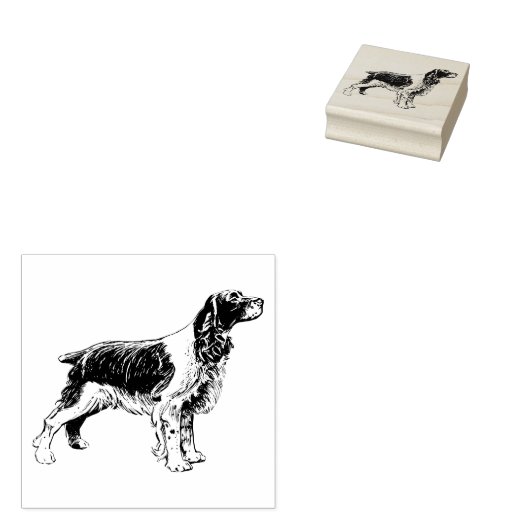 Engels Springer Spaniel Hondenras Rubberstempel (Gestempeld)