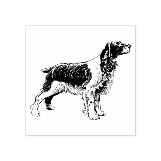 Engels Springer Spaniel Hondenras Rubberstempel (Afrduk)