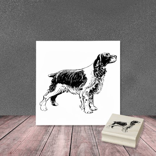 Engels Springer Spaniel Hondenras Rubberstempel