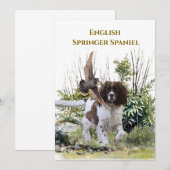 Engels Springer Spaniel Kaart (Voorkant / Achterkant)