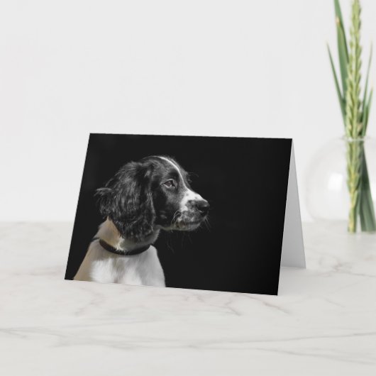 Engels Springer Spaniel Kaart (Voorkant)