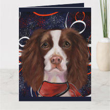ENGELS SPRINGER SPANIEL