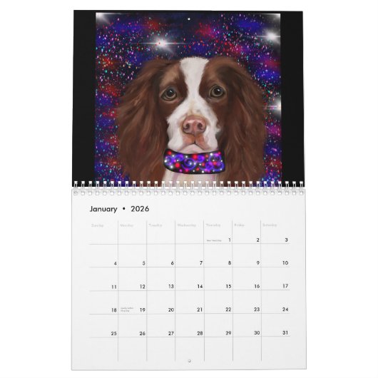 ENGELS SPRINGER SPANIEL KALENDER (Jan 2026)