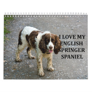 Engels Springer Spaniel Kalender