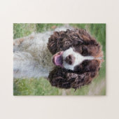 Engels Springer Spaniel Legpuzzel (Horizontaal)