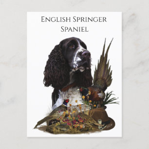 Engels Springer Spaniel met fazant Briefkaart