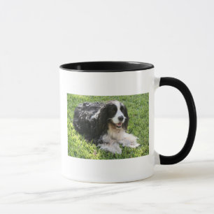 Engels Springer Spaniel Mok