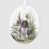 Engels Springer Spaniel Ornament (voorkant)