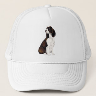 Engels Springer Spaniel Pet