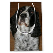 Engels Springer Spaniel Pet Foto Middelgrote Gift  Medium Cadeauzakje (Voorkant)