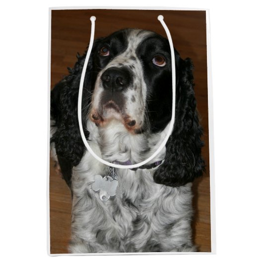Engels Springer Spaniel Pet Foto Middelgrote Gift  Medium Cadeauzakje (Voorkant)