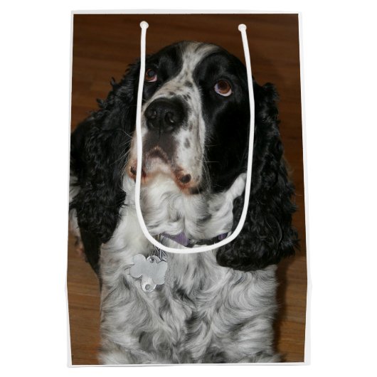 Engels Springer Spaniel Pet Foto Middelgrote Gift  Medium Cadeauzakje (Achterkant)