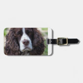 engels springer spaniel.png bagagelabel (Voorkant horizontaal)