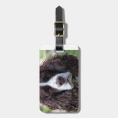 engels springer spaniel.png bagagelabel (Voorkant verticaal)