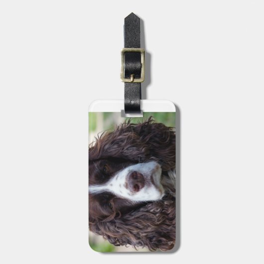 engels springer spaniel.png bagagelabel (Voorkant verticaal)