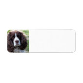 engels springer spaniel.png etiket (Voorkant)