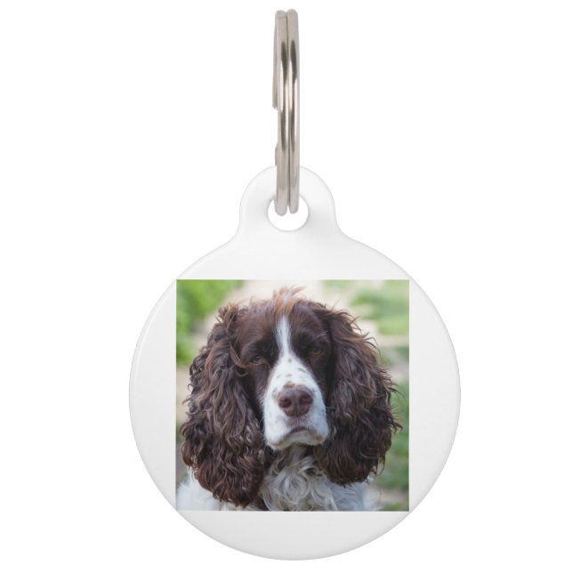 engels springer spaniel.png huisdierpenning (Voorkant)