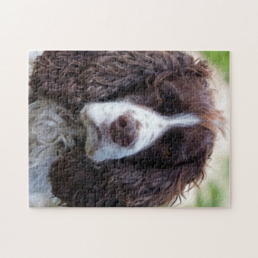 engels springer spaniel.png legpuzzel (Horizontaal)
