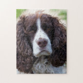 engels springer spaniel.png legpuzzel (Verticaal)