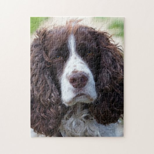 engels springer spaniel.png legpuzzel (Verticaal)