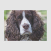 engels springer spaniel.png tissuepapier (Voorkant)