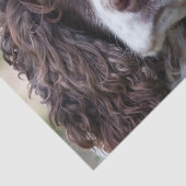 engels springer spaniel.png tissuepapier (Detail)