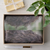 engels springer spaniel.png tissuepapier (Geschenk)